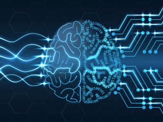 Deep learning algorithms are inspired by the human brain structure. Photo by Laurent T/Shutterstock.com