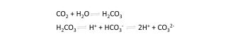 Chemical formulas describing the dissociation of carbon dioxide in water.