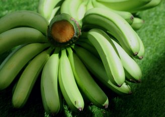 Volgroeide groene bananen. Foto van Shahjehan/Shutterstock.com