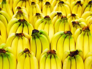 Bananen op het schap in een winkel. Foto van Vipavlenkoff/Shutterstock.com