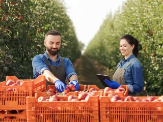 Two people in orchard with data recording device. Photo by Prostock-studio/Shutterstock.com