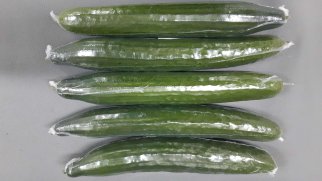 Cucumbers wrapped in shrink film. Shrink film increase the resistance against moisture loss. Photo by WUR.