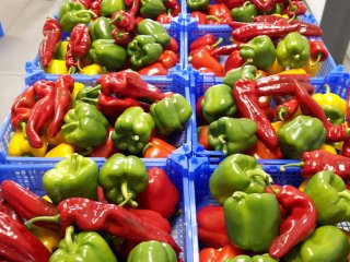 CATT has been validated for bell peppers to eliminate Western flower thrips. Photo from WUR