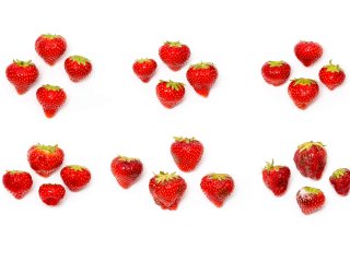 Various quality stages of strawberries. Photo by Verse Beeldwaren for WFBR