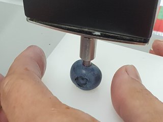 Stevigheid van blauwe bessen kan getest worden met een penetrometer. Foto van WUR