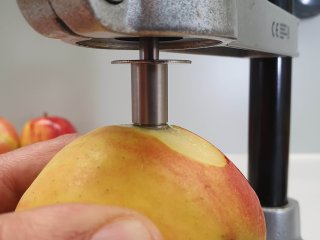 The probe should enter the fruit until the marking. Photo from WUR
