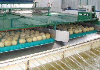 Meloenen worden gewassen in het pakstation. Foto van WUR