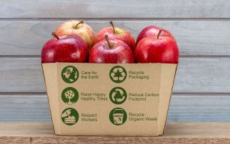 Apples with various indications regarding sustainable use of product and packaging. Photo by HollyHarry/Shutterstock.com