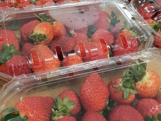 Aardbeien in een clamshell verpakking. Foto door WUR.