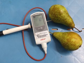 Inner temperature of a pear. Photo by WFBR