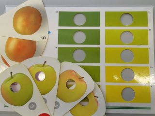 Een kleurenkaart wordt gebruikt om de kleur van een product objectief vast te stellen. Foto van WUR