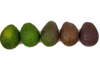 Kleurverschillen zeggen niet altijd iets over de rijpheid van avocado's. Foto van Anna Lurye/Shutterstock.com