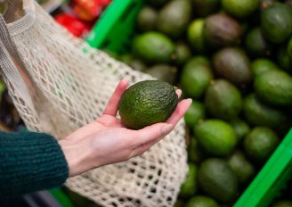 Een handzame avocado. Foto van Gleb Usovich/Shutterstock.com