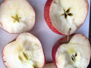 Mealy apples. Photo by WFBR