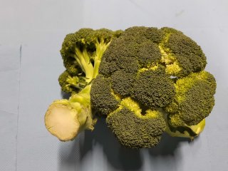Vochtverlies heeft tot een losse broccoli kop geleid. Foto door WUR.