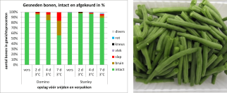 Experiment_cut_green_beans_GreenCHAINge.png