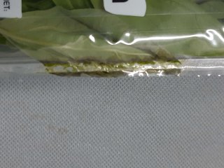 Attention!  A basilicum leaf is captured between the topseal and of the plastic punnet. Photo by WUR.
