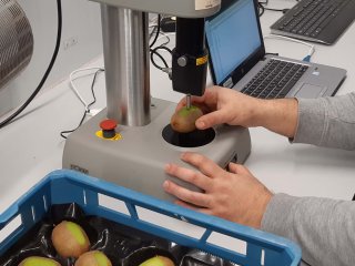 Measurement of kiwifruit firmness. Photo by WUR.