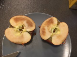 This apple turned out to be brown after cutting it at the consumer's home. Photo by WFBR