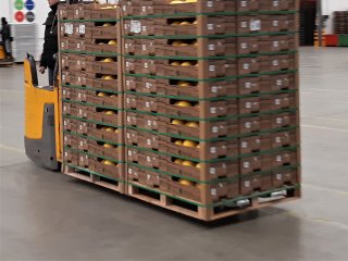 Well palletized boxes protects the products and are easy to handle. Photo by WUR.