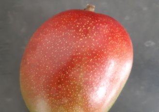 Een mango met een rode schil. Foto van WUR