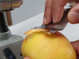 Schil de vrucht voor de meting. Foto van WUR