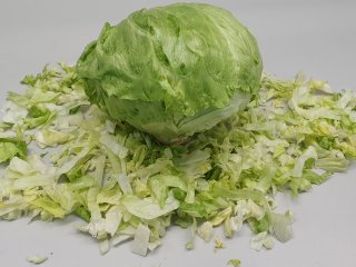 Sla kan gebruikt worden voor verdere processing als vers-gesneden salade. Foto van WUR
