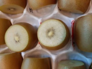 Kiwi is an example of an ethylene sensitive fruit. Photo by WUR.