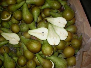 Pears with freezing damage because of too cold storage. Photo from WUR