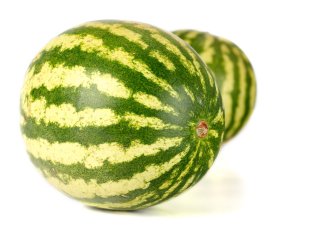 Een meloen met een waslaag. Foto van sirtravelalot/Shutterstock.com