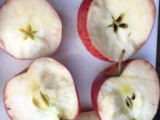 Melige appels. Foto door WFBR