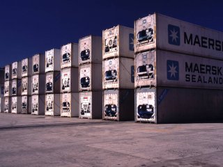 Reefer containers in een haven. Foto van WUR