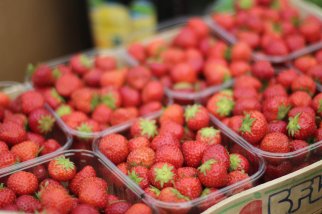 Aardbeien na de oogst. Foto van Marte Hofsteenge