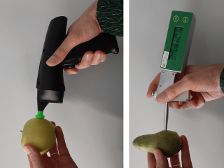 Examples of impact-based firmness measurements. Photo by WUR.