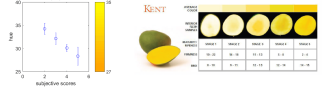 Mango_correlation colour - ripeness.png