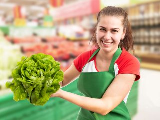A good quality lettuce to offer to consumers. Photo by Thunderstock/Shutterstock.com