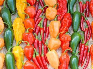 Different types of hot peppers have a different pungency. Photo by Julie Cloper/Shutterstock.com