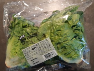 Baby Romaine lettuce in a flow pack. Photo by WUR